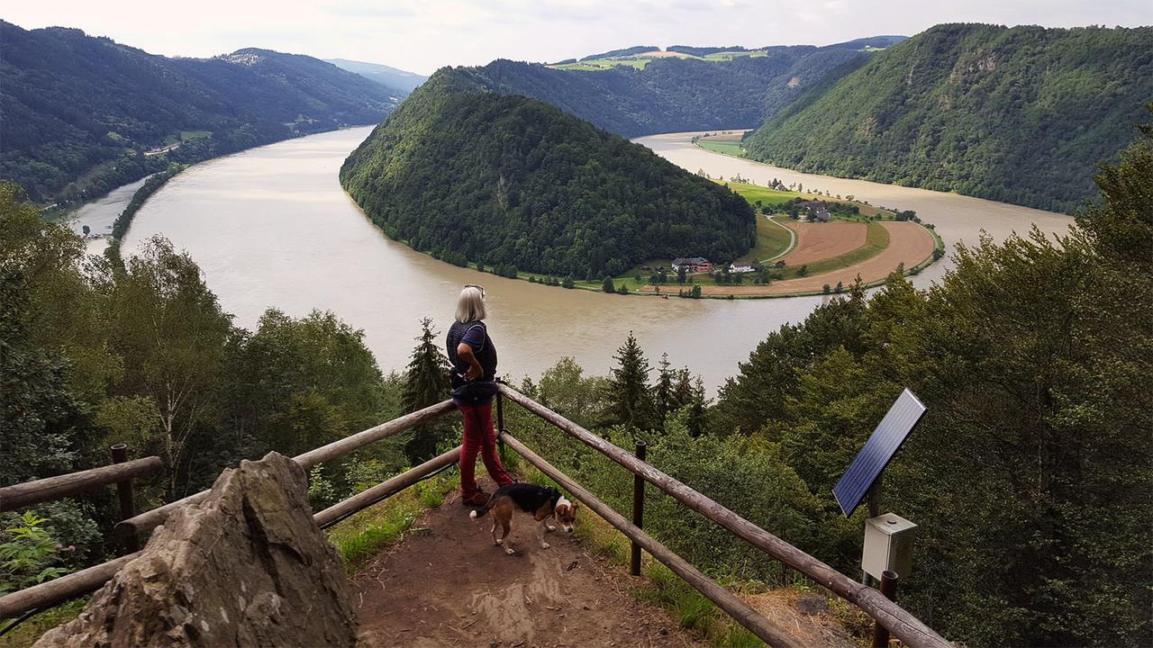 Gasthof 'Zum Alten Turm' Haslach an der Mühl المظهر الخارجي الصورة